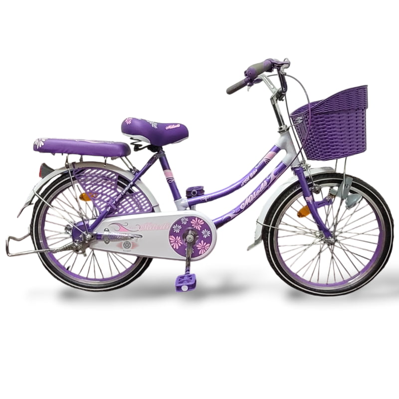 Bicicleta dama NOVA de paseo R20